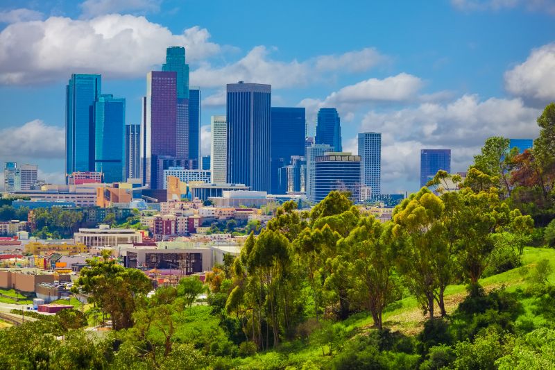 General Carpentry Service in Los Angeles, CA