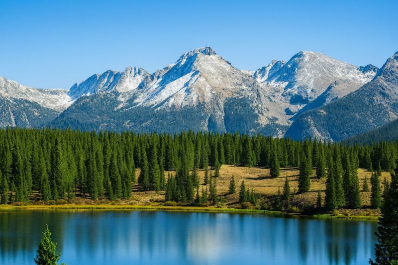 Residential Carpentry Service in Lafayette, CO
