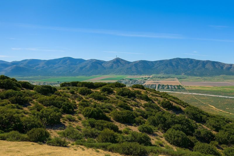 Residential Carpentry Service in Palmdale, CA